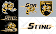 design a professional sports or esports team logo