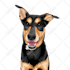 draw a pet to vector portrait
