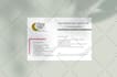 design an amazing, modern recipe card