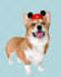 draw your pet into amazing realistic cartoon style