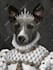 do custom pet portrait, dog portrait, cat portrait