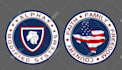 create a professional challenge coin or crypto coin design