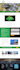 design responsive professional wordpress website development