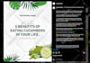 be facebook page manager and custom content designer