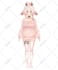 design and rigging pro vtuber model live2d high quality for vtube studio