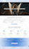 do wordpress website development, design or redesign wordpress blog website