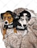 make a cartoon of your pet