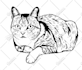 create detailed vector art black and white your pictures