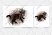 draw a watercolor pet portrait from your photo