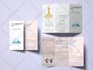 design awesome bifold or trifold brochure professionally