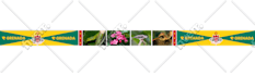 create product label design food packaging mylar bag pouch can box or mailer box