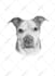 do a black and white pet portrait