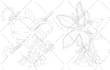 draw character design in lineart