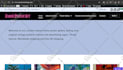 fix wordpress issues, woocommerce fix, wordpress errors, elementor bug