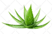 cutout product images background removal photoshop editing