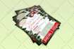 design a professional flyer, brochure or leaflet