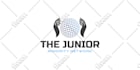 do premium logo designs
