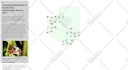 create any data visualization graphs using d3 js