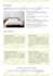 do pamphlet, sales leaflet, one sheet pager, lead magnet, marketing flyer design