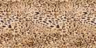 design patterns for textiles and any other surface