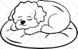 create clean and unique doodle art designs
