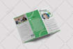 design a professional brochure or magazine layout