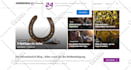 design responsive wordpress website or customize, fix issues