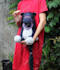 make amigurumi or plush toy for you