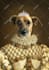 make a custom royal pet portrait gift for your pet