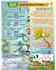 design a modern real estate flyer or poster