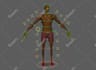 rig your character in maya for cinematics , unreal, unity