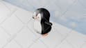 create a cute 3d model for you in blender
