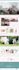 build shopify dropshipping store shopify website design