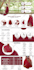 design amazon a plus content, amazon ebc enhanced brand content