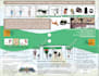 do professional art direction and graphic design
