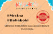 research 10 professional niches for amazon kdp notebook ebook