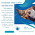 be your expert personal administrative virtual assistant