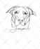 draw custom pet line art portrait for tattoo or print