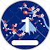 convert complex detailed image,logo to vector in 12 hour