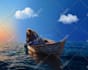paint professional customized illustration