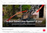 create, build clean simple wordpress business website design