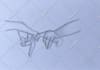 draw realistic  handmade sketch