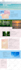 wix website design wix website redesign wix website development wix website