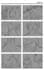 create industry standard professional storyboards