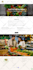 clone, build, design, redesign shopify website or dropshipping shopify store