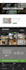 design and develop a responsive modern wordpress business website