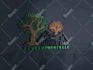 design a professional brand logo design