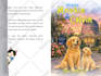 create a professional amazon KDP book cover design