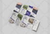 design bifold, trifold brochure and pamphlet