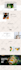 create modern wordpress business website, website design, redesign, develop